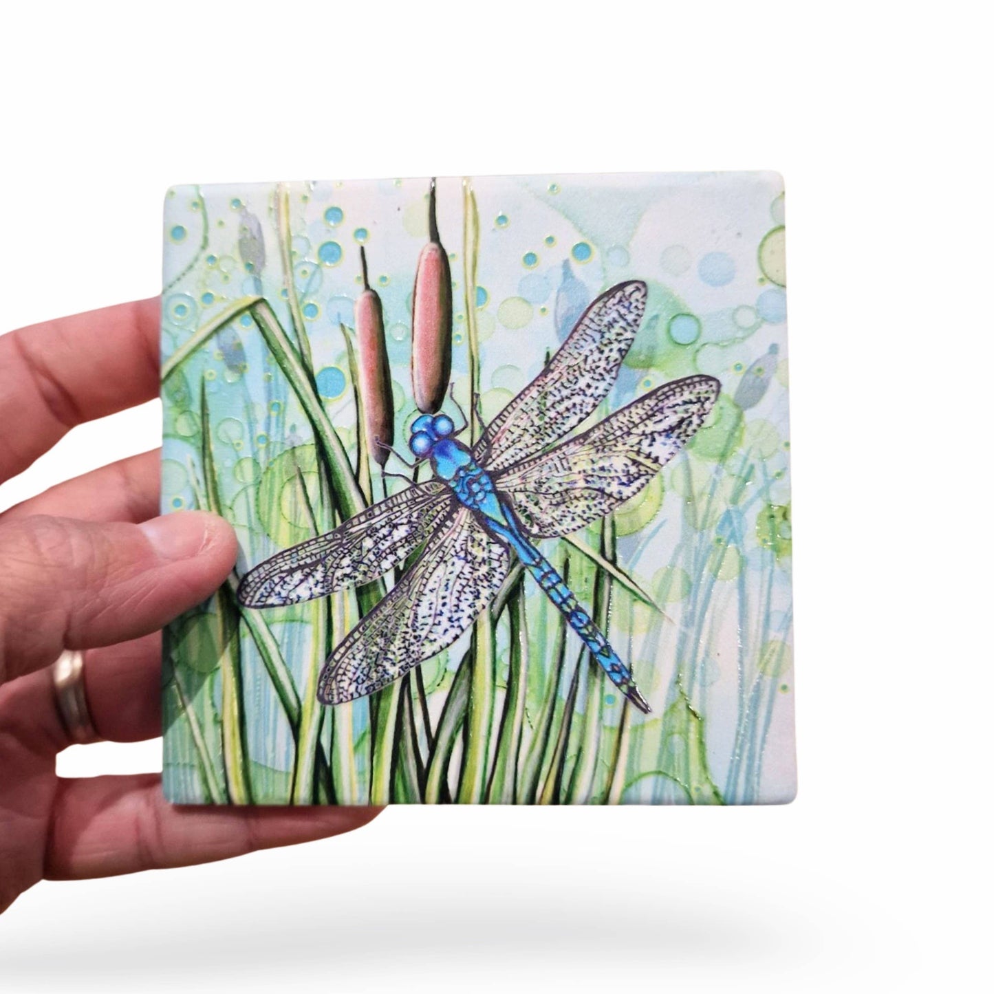 07-C Dragonfly Coaster