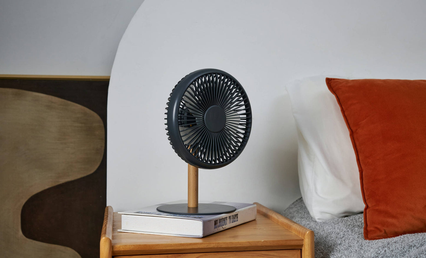 Beyond Detachable Desk Fan/Light