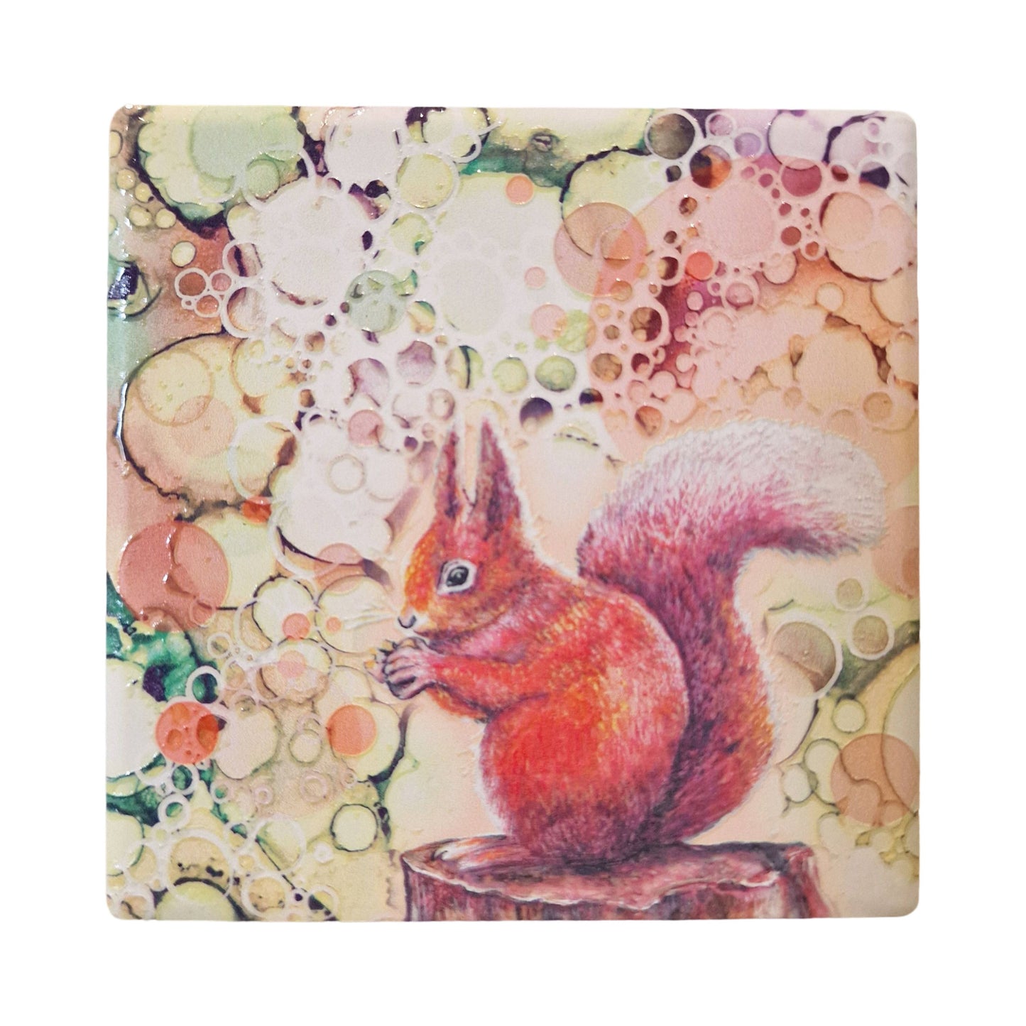 189-C Squirrel Coaster