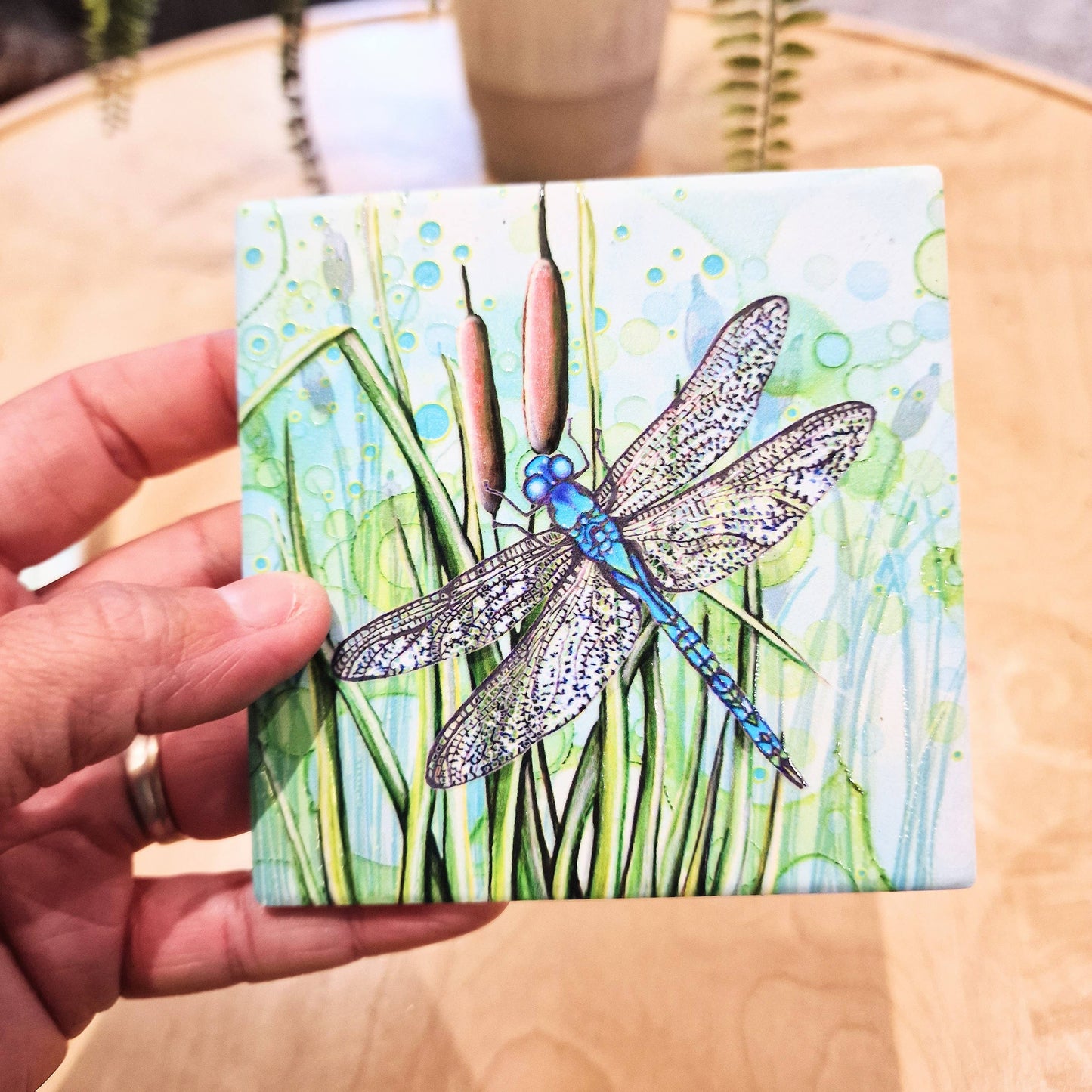 07-C Dragonfly Coaster