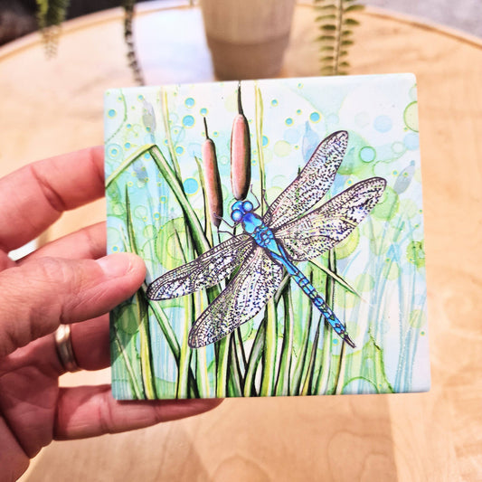 07-C Dragonfly Coaster