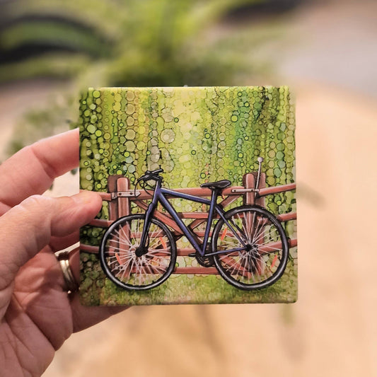 51-C  Bike Coaster