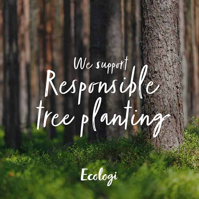 Festive Food - Eco-friendly Christmas cards