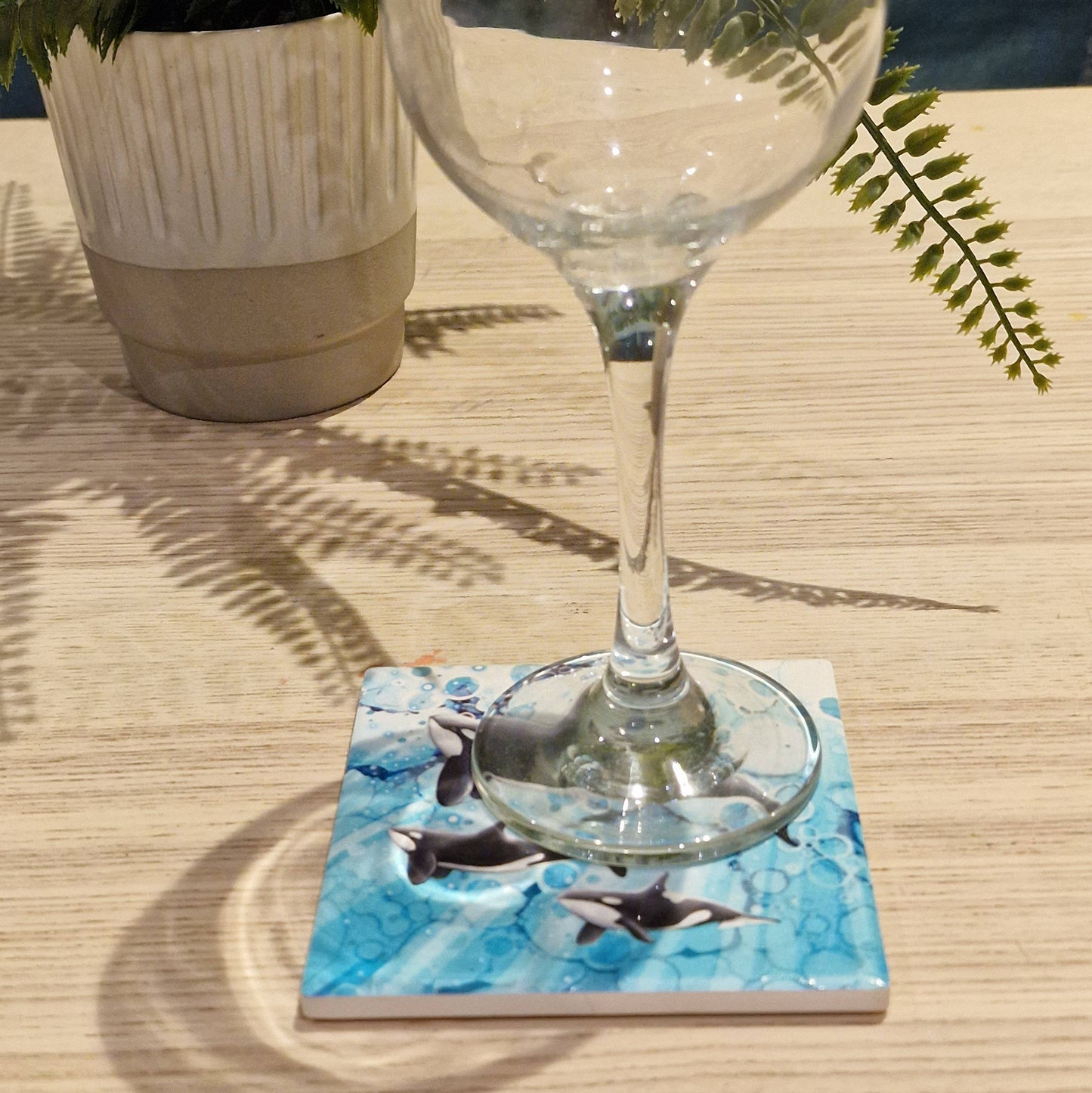 43-C Orca Coaster