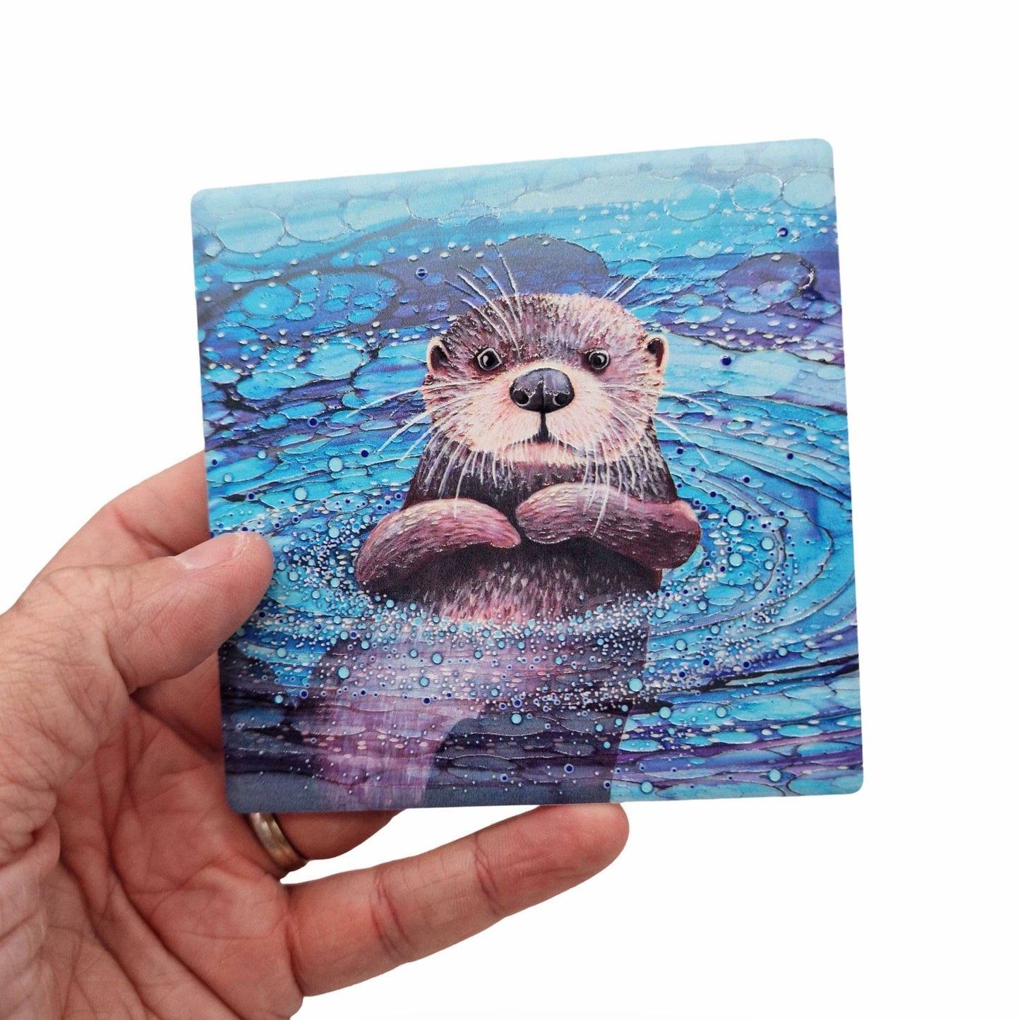 40-C Otter Coaster