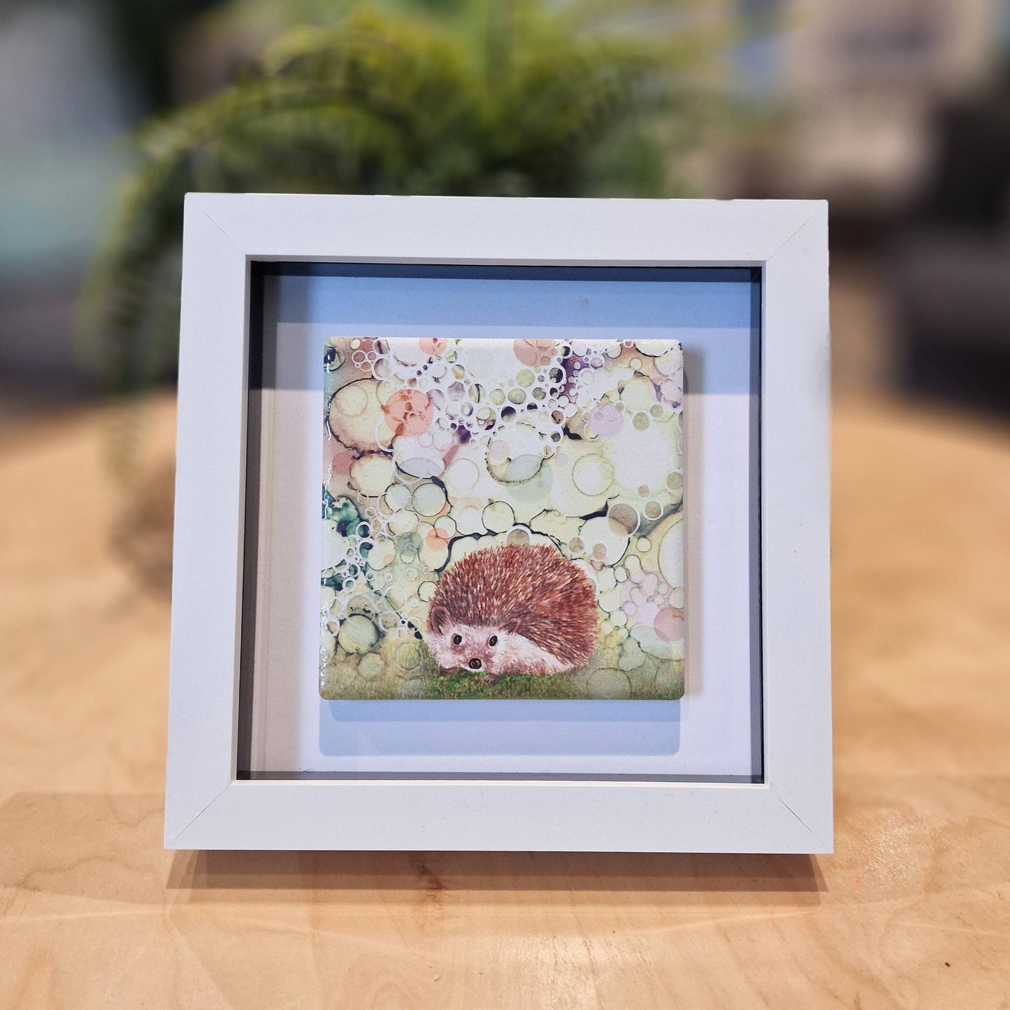 09-SP Hedgehog Small Picture