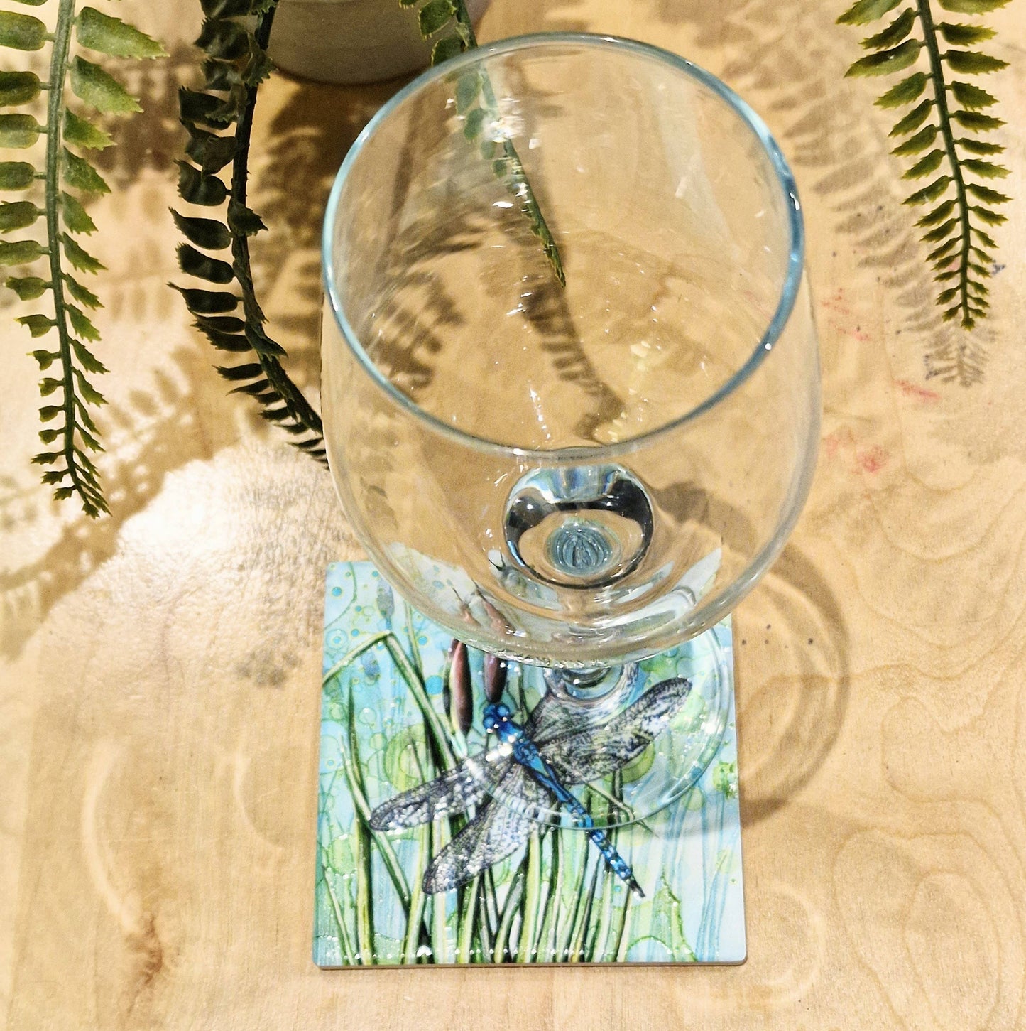 07-C Dragonfly Coaster