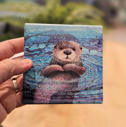 40-C Otter Coaster