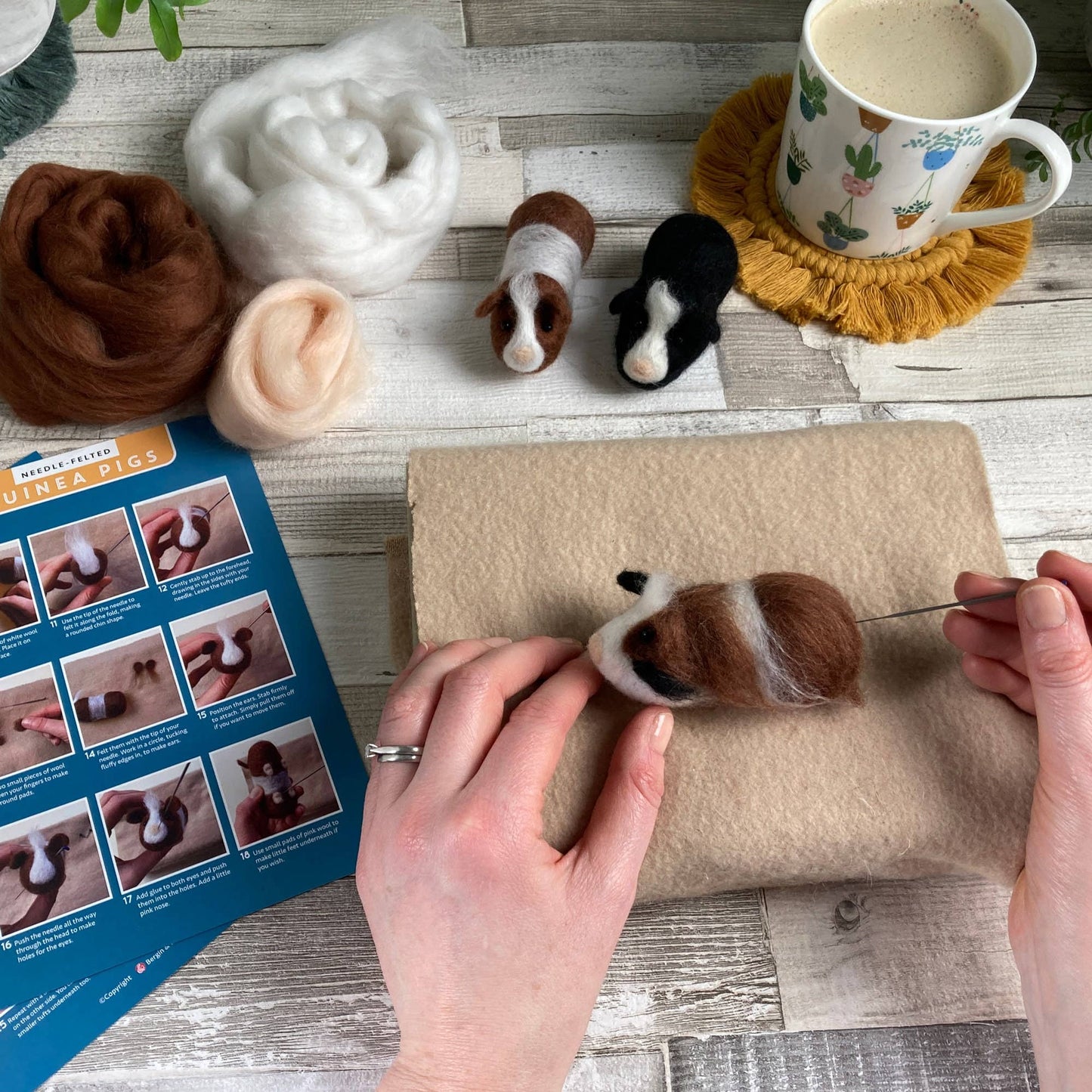 Needle felting kit - Guinea pigs. Craft kit for adults