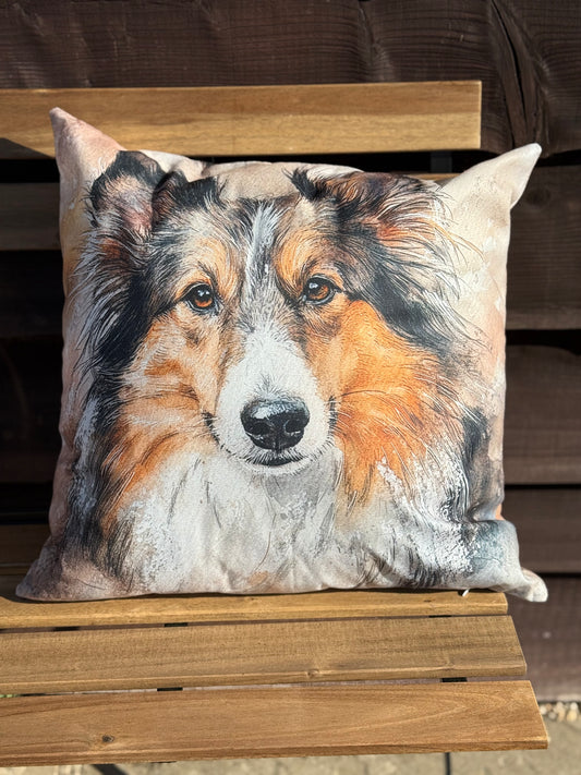 Collie Cushion 45 x 45
