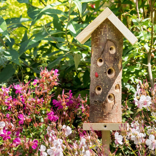 Original Ladybird Tower