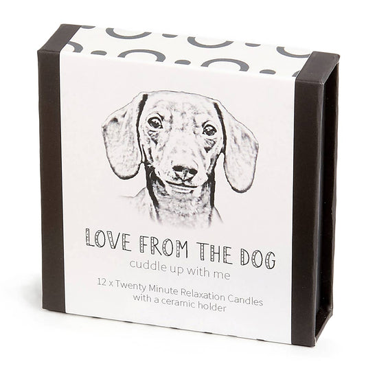 Love from the Dog – Dachshund