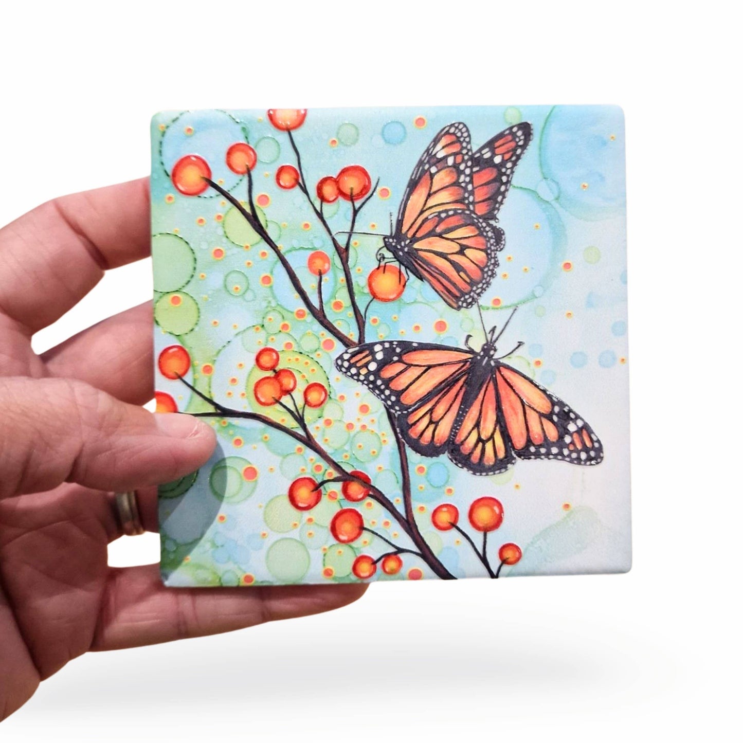 08-C Butterfly Coaster