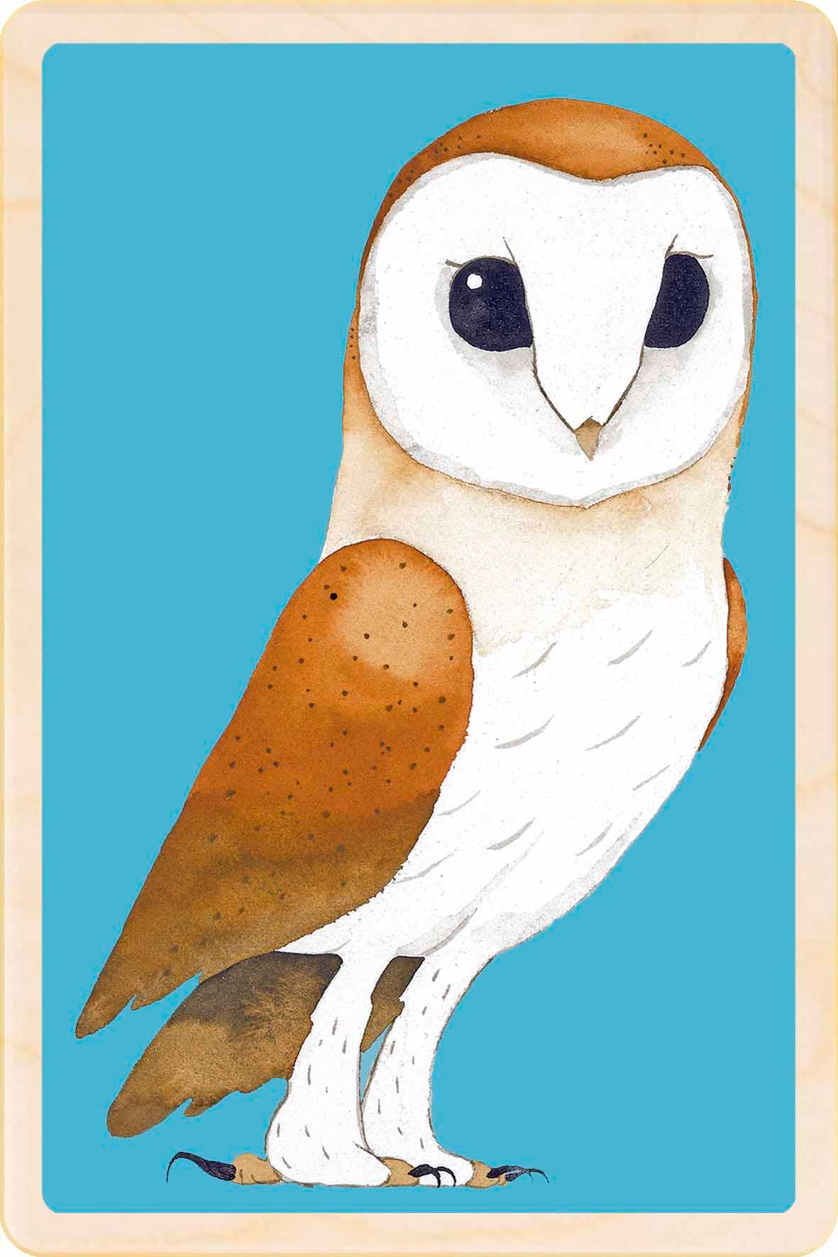 Barn Owl - Eco-friendly cards