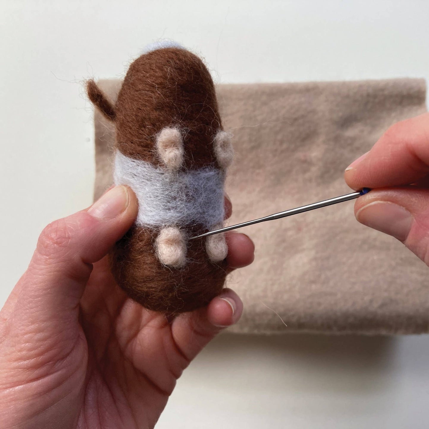 Needle felting kit - Guinea pigs. Craft kit for adults