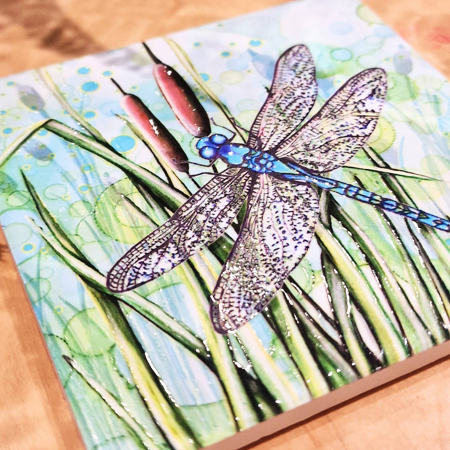 07-C Dragonfly Coaster
