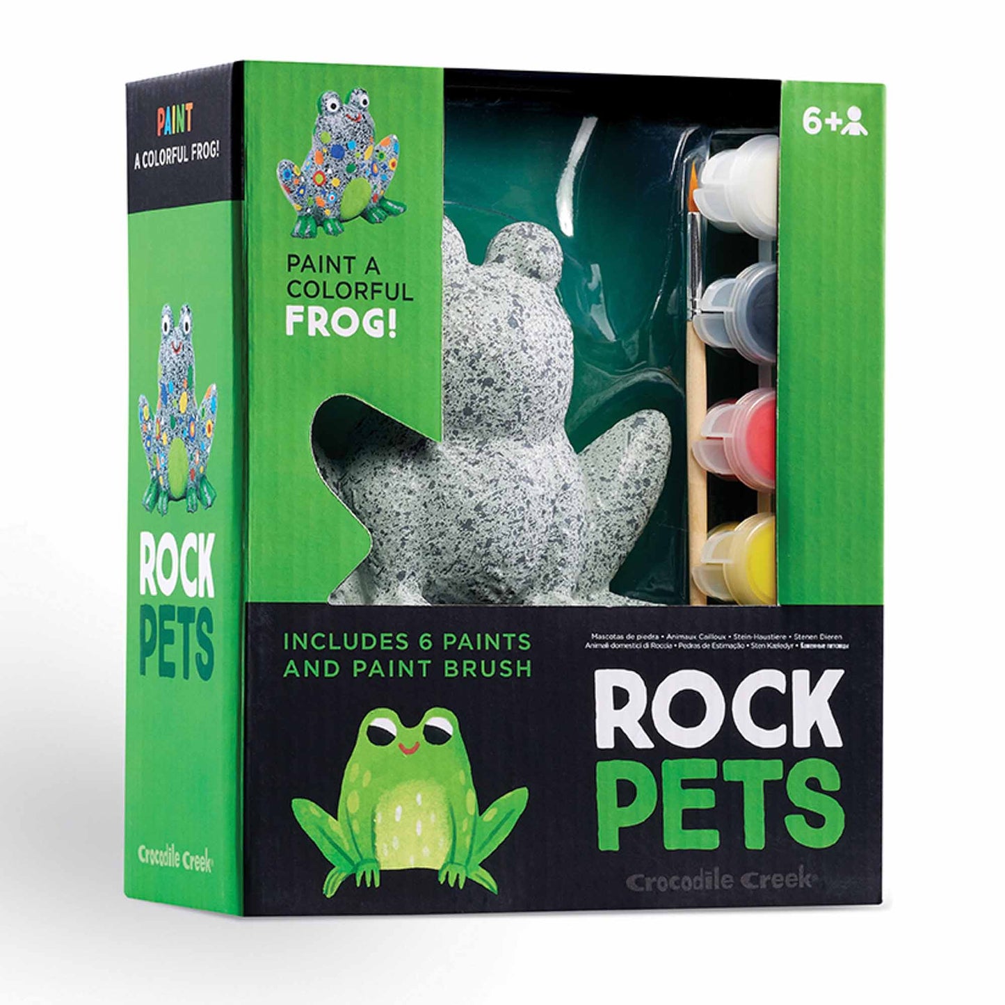 Crocodile Creek Frog Rock Pets Painting Set Art & Craft