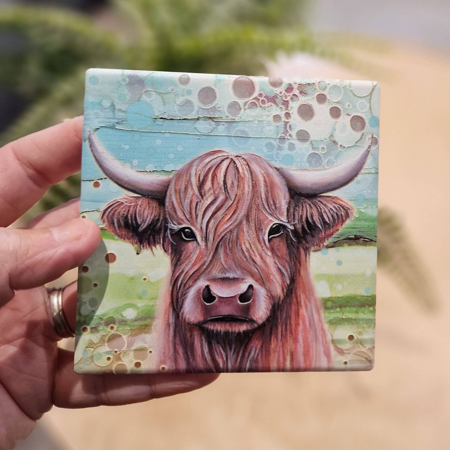 04-C - Highland Cow Coaster