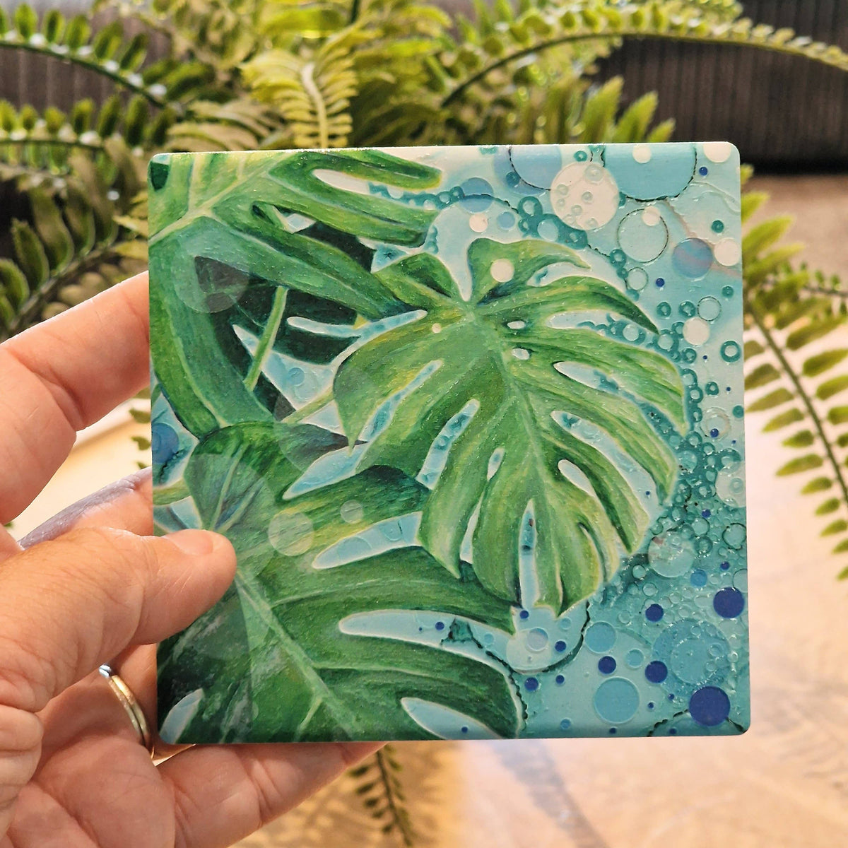 62-C Cheese plant Coaster