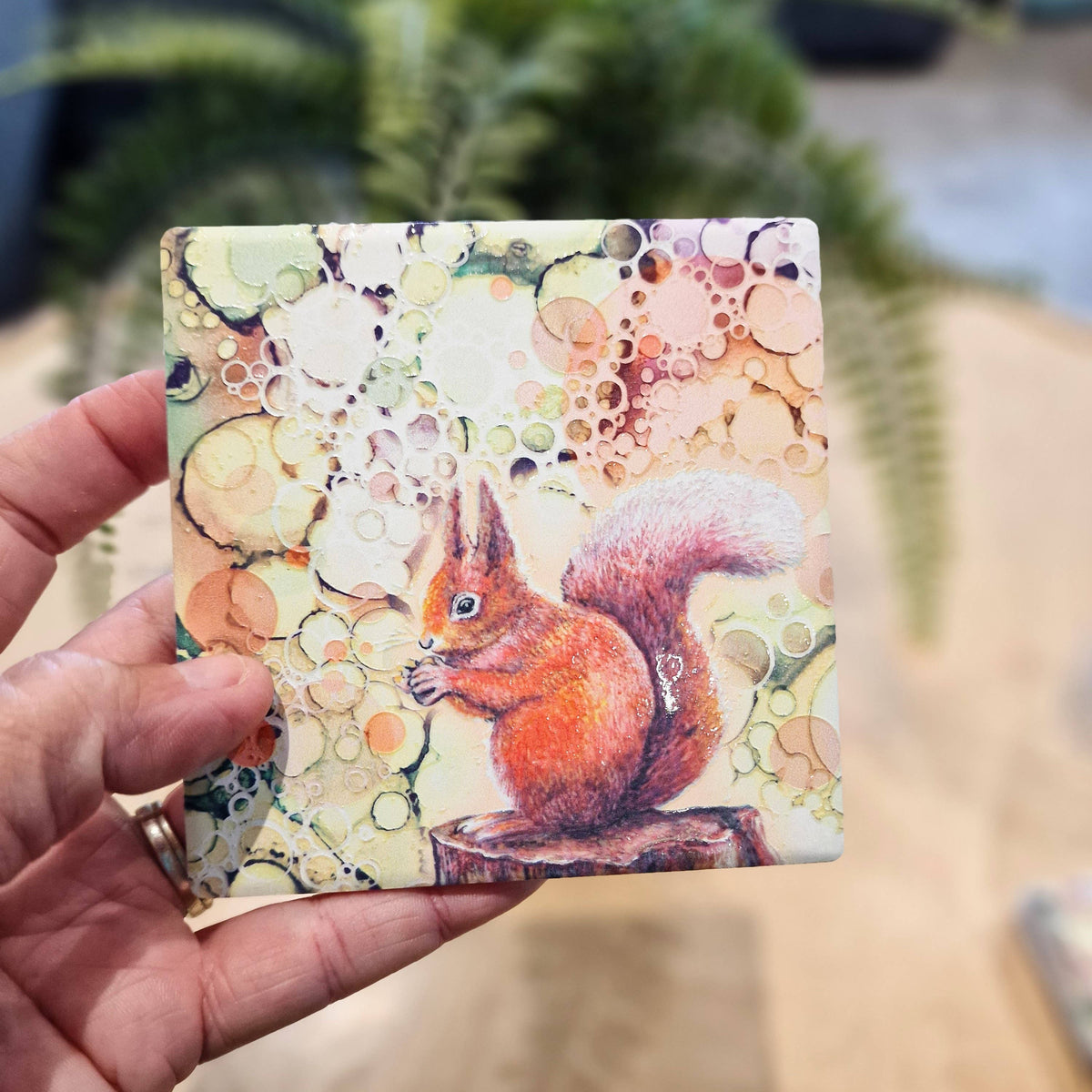 189-C Squirrel Coaster