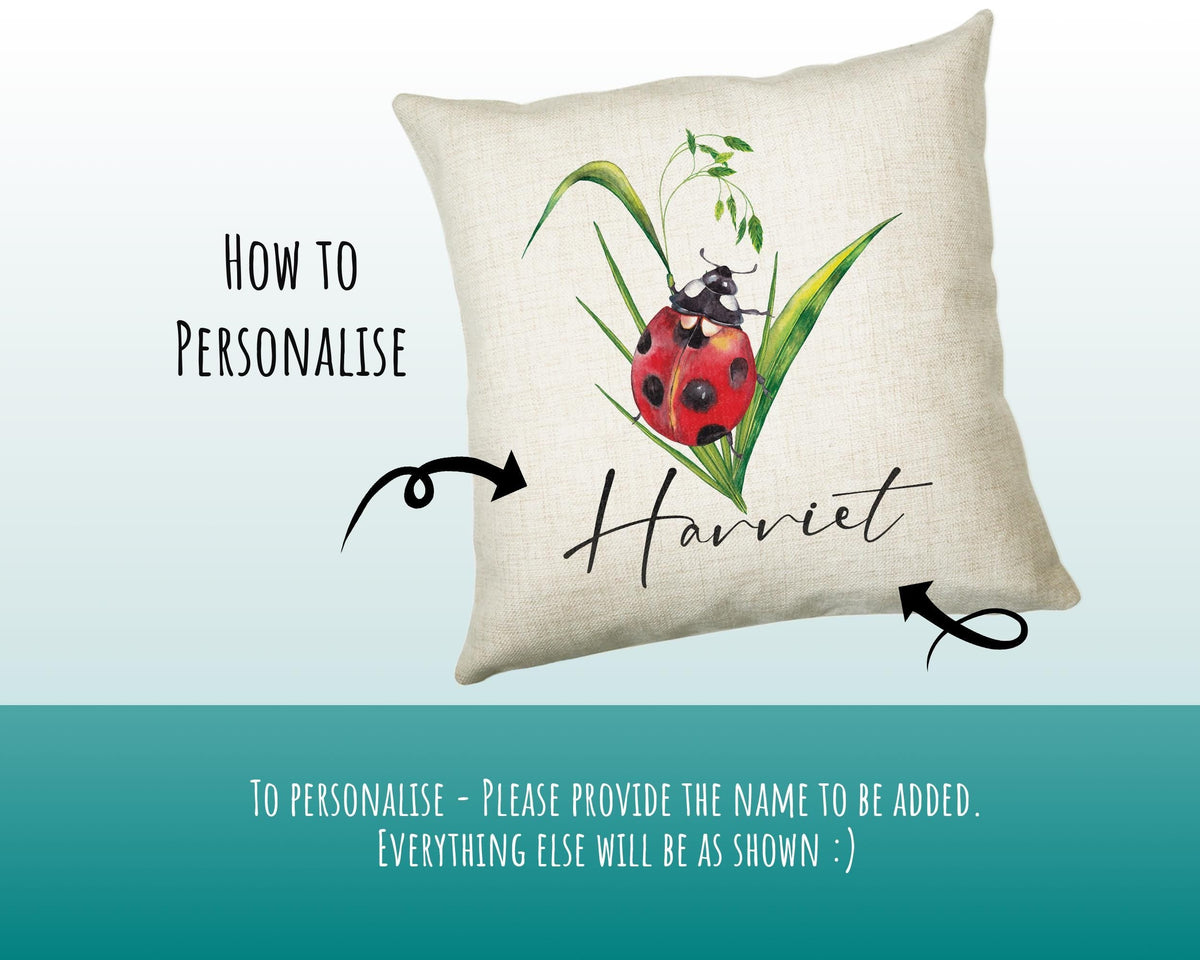 Personalised Ladybird Cushion Gift Insect Bug Lover Printed Name Design - Pillow Gift For Him/Her Present Decor Gift CS483