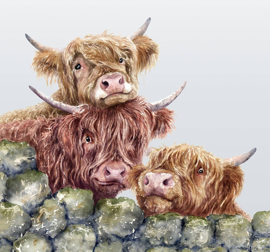 Glass cutting board, Neighbourhood Watch, Highland Cows