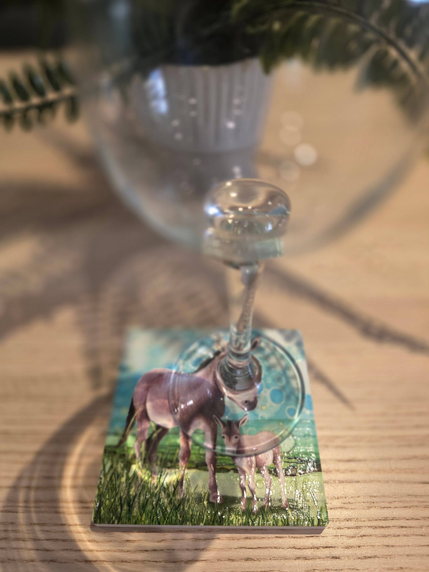 291-C Donkey Coaster