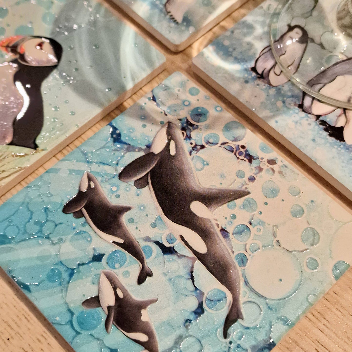 43-C Orca Coaster