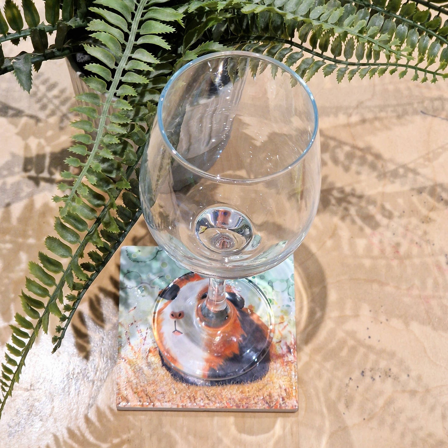 233-C Guinea Pig Coaster