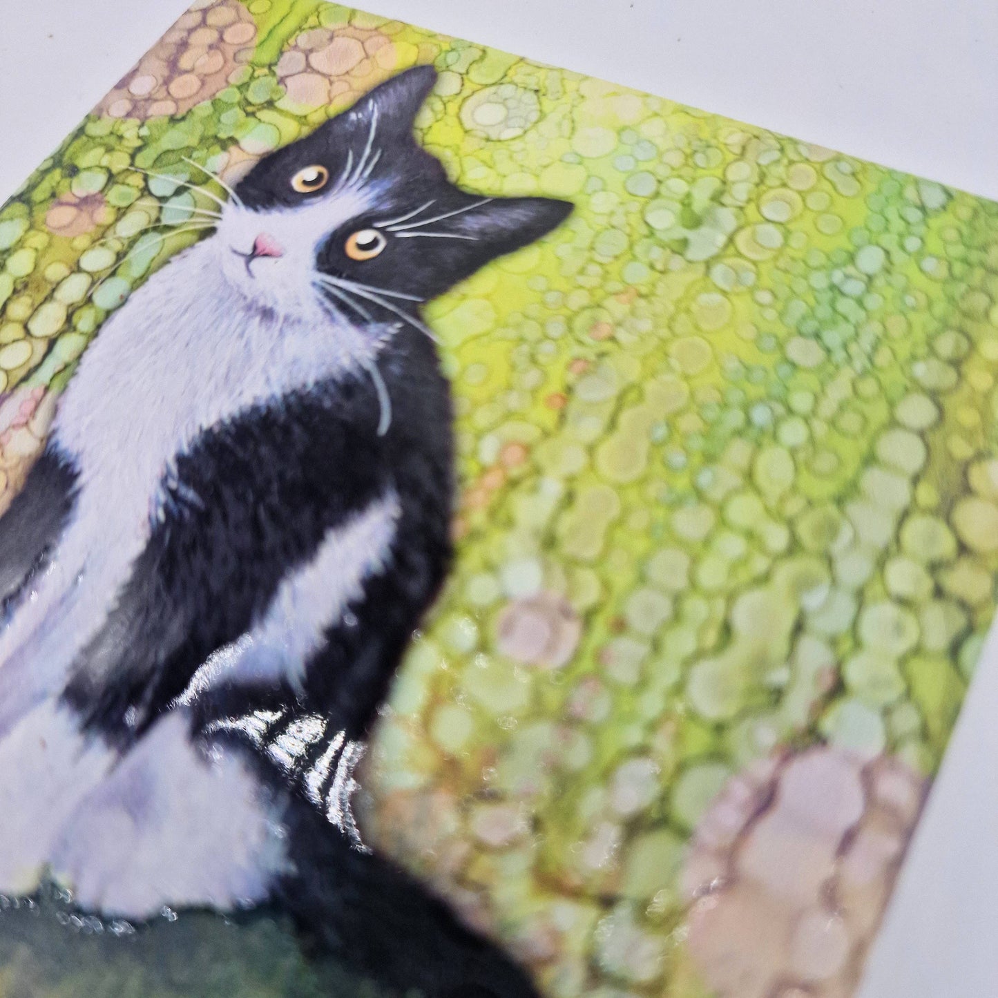 103-C Black & White Cat Coaster