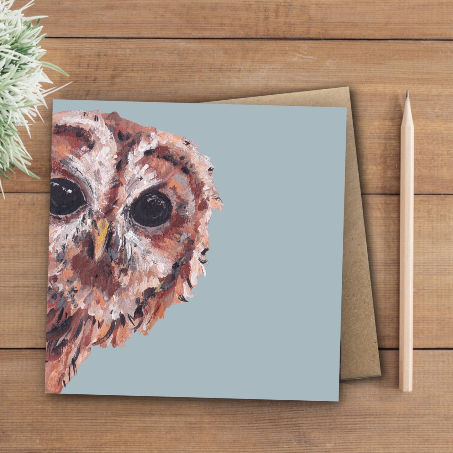 Tawny Owl Card | Eco | Recycled | Bird | Blank