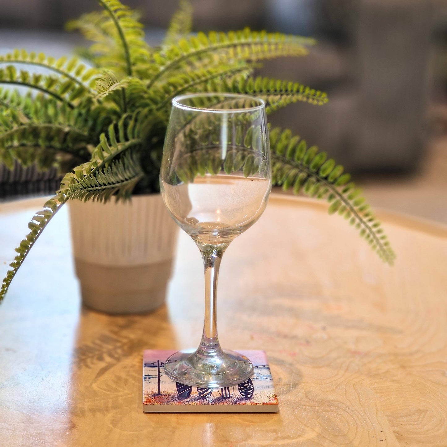 131-C Paddleboards (CR)  Coaster
