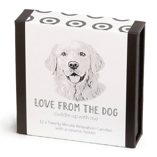 Love from the Dog – Golden Retriever
