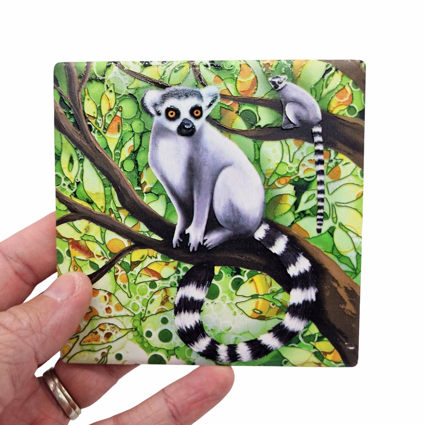 39-C Lemur Coaster