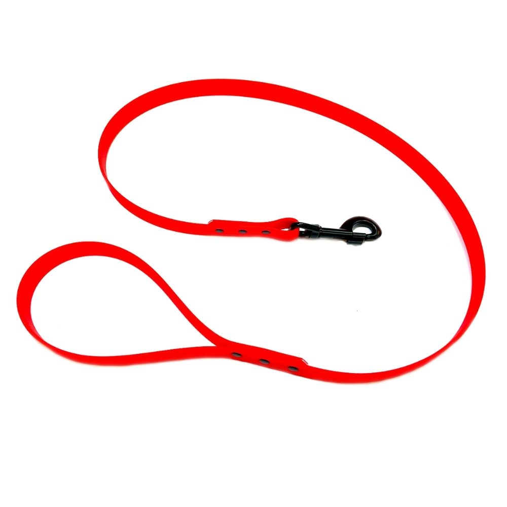 Waterproof Webbing Dog Lead
