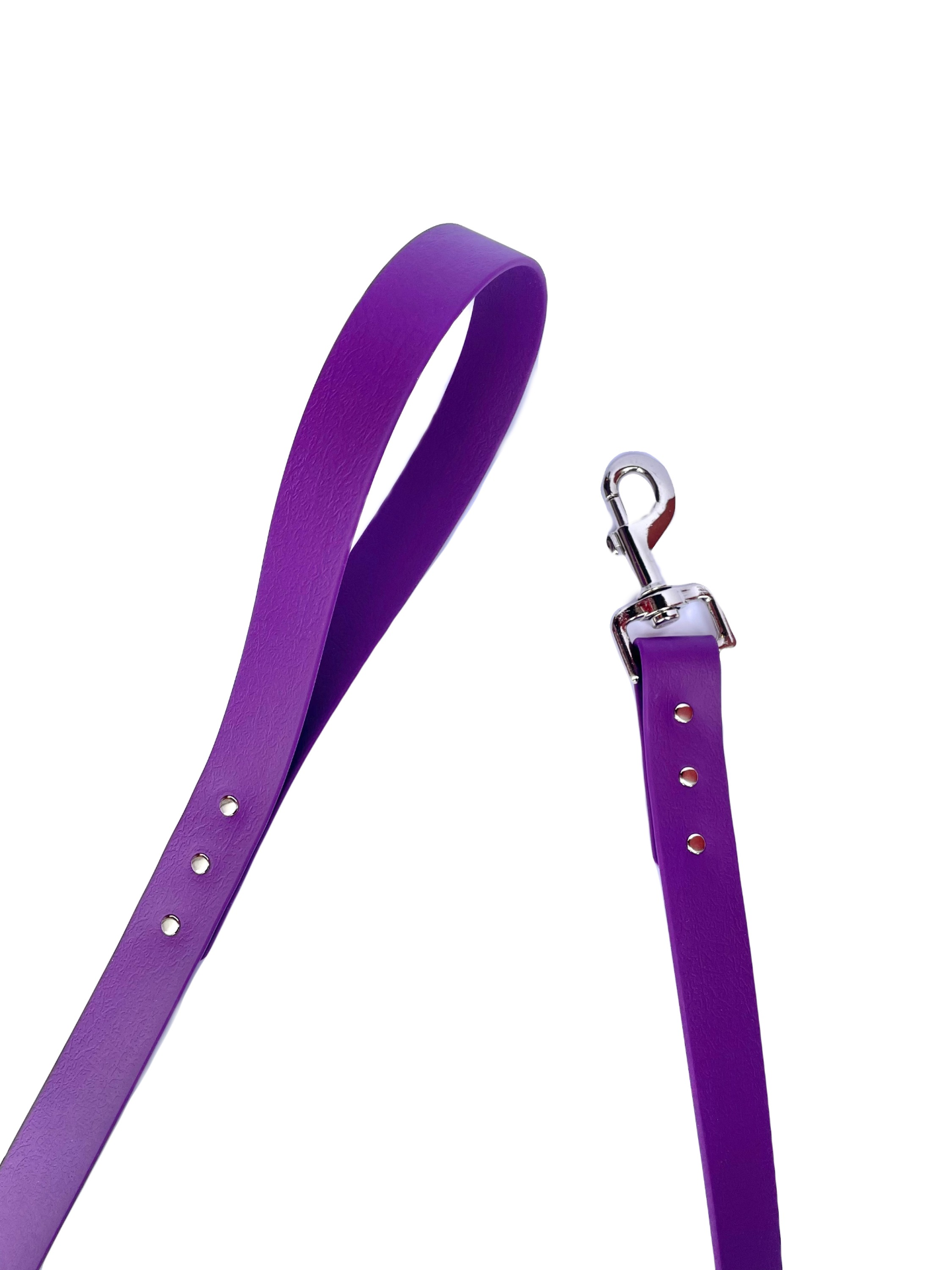Waterproof Webbing Dog Lead