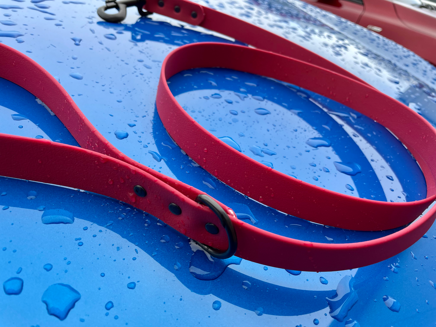 Waterproof Webbing Dog Lead