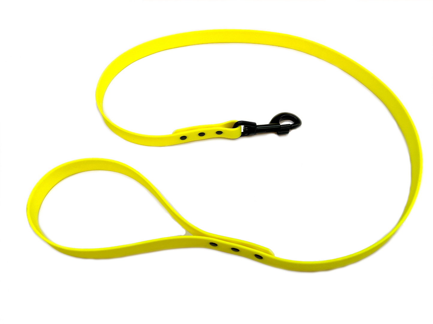 Waterproof Webbing Dog Lead