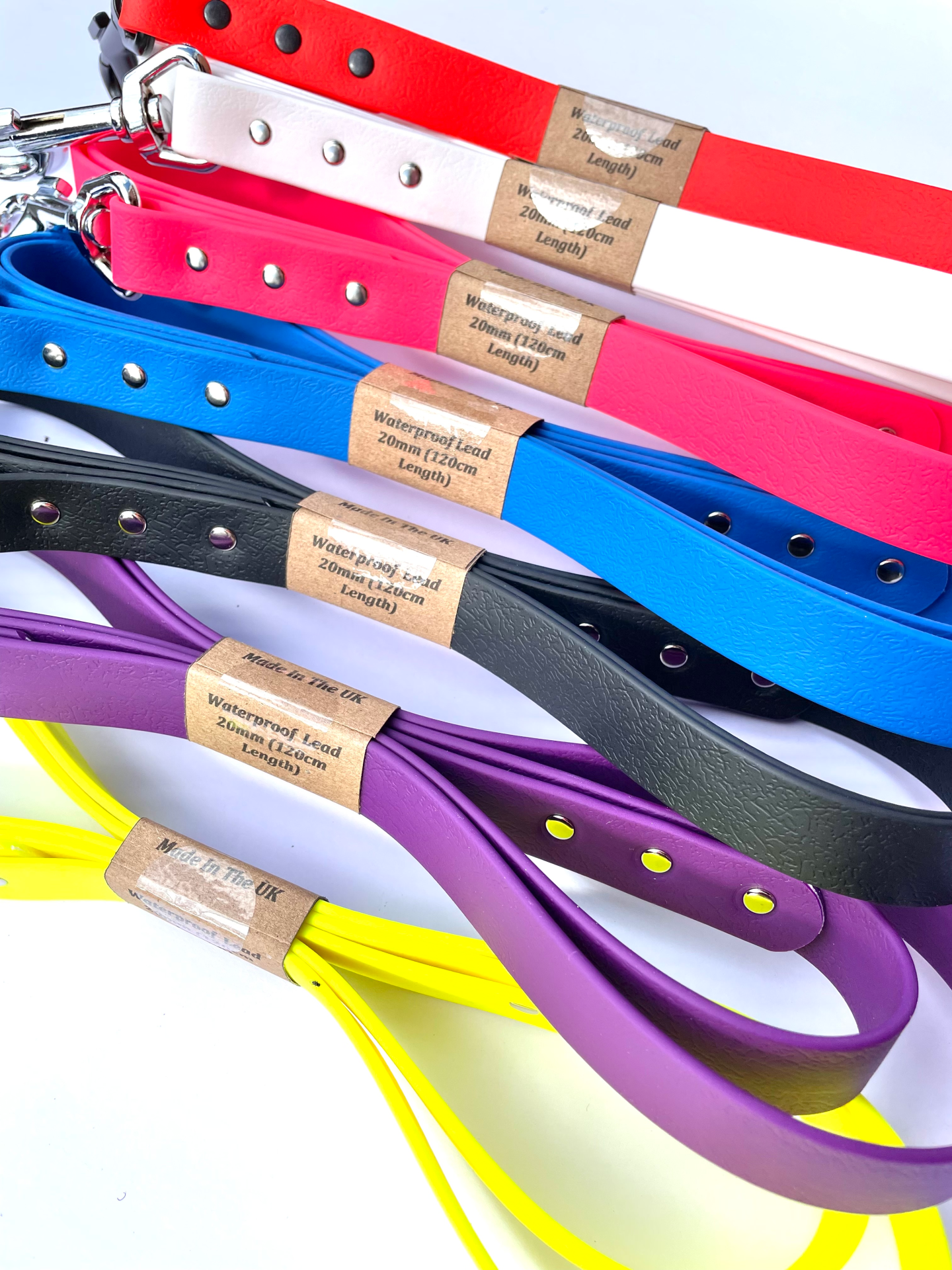 Waterproof Webbing Dog Lead