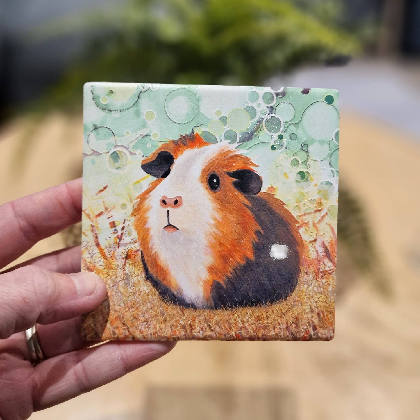 233-C Guinea Pig Coaster