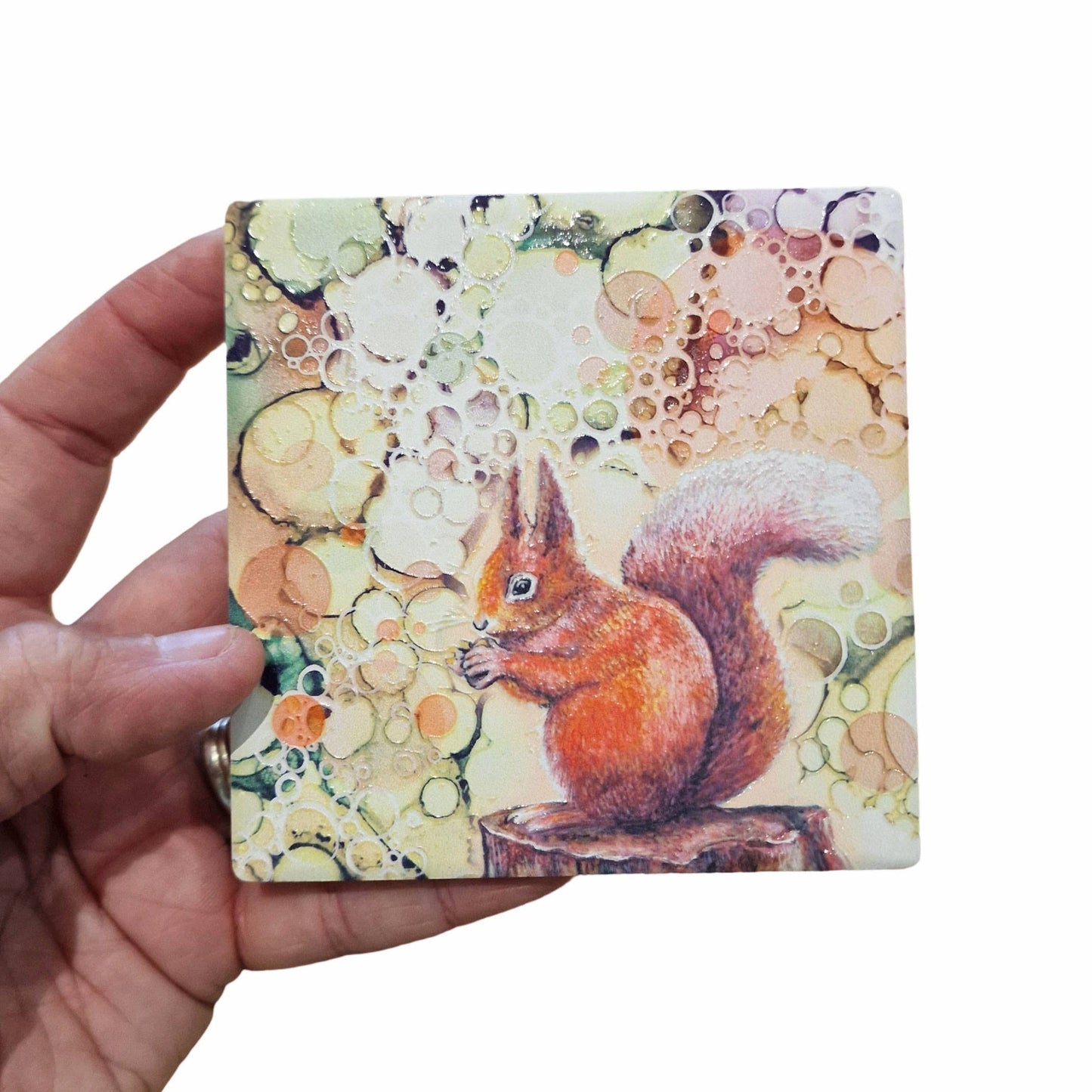 189-C  Squirrel Coaster