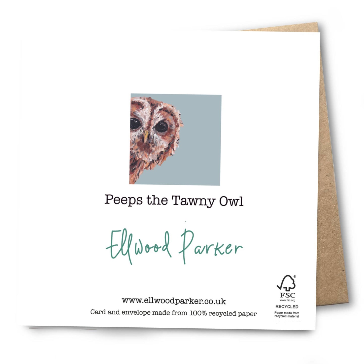 Tawny Owl Card | Eco | Recycled | Bird | Blank