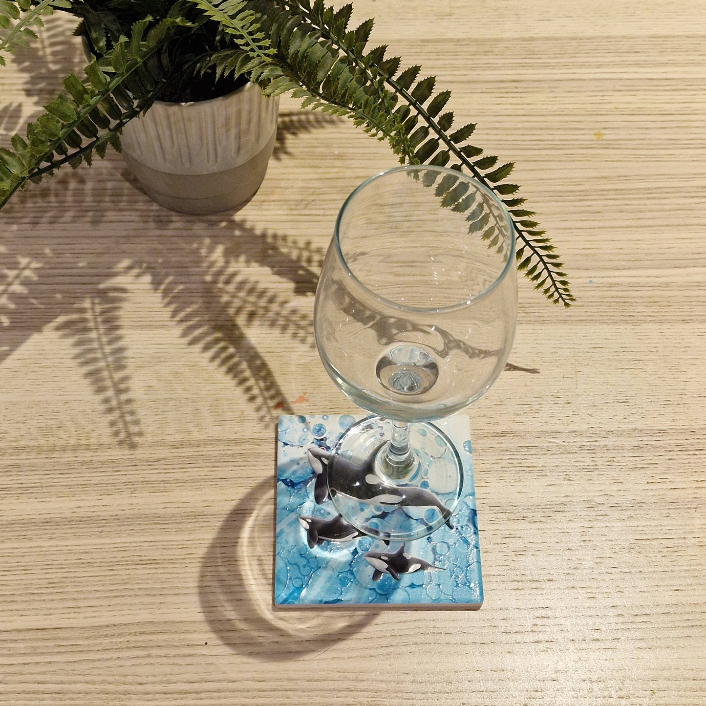 43-C Orca Coaster