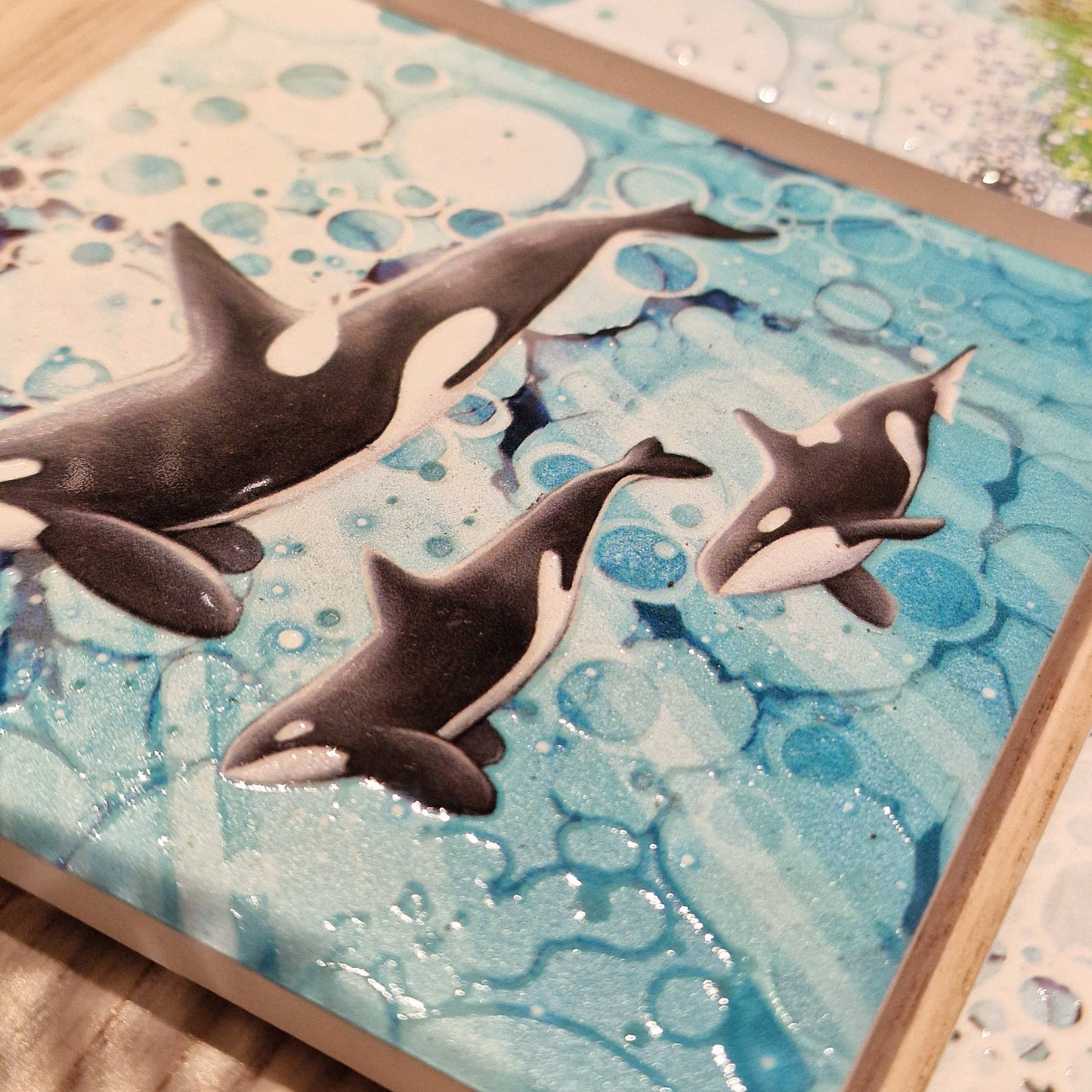 43-C Orca Coaster