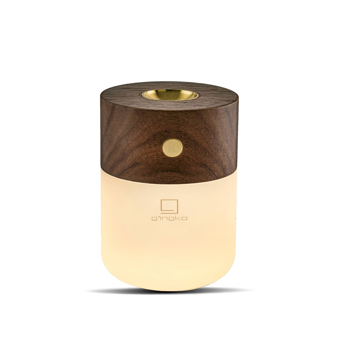 Smart Diffuser Lamp
