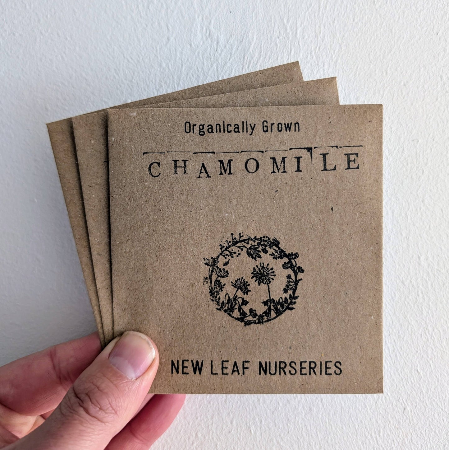 Chamomile Seeds - Organically Grown