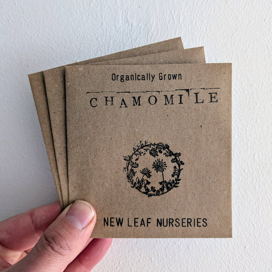 Chamomile Seeds - Organically Grown