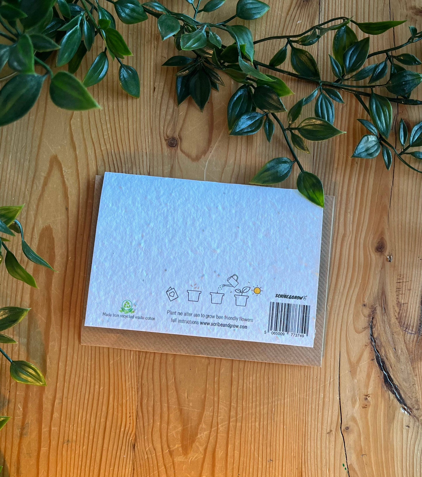 Plantable Greeting Card - You & Me