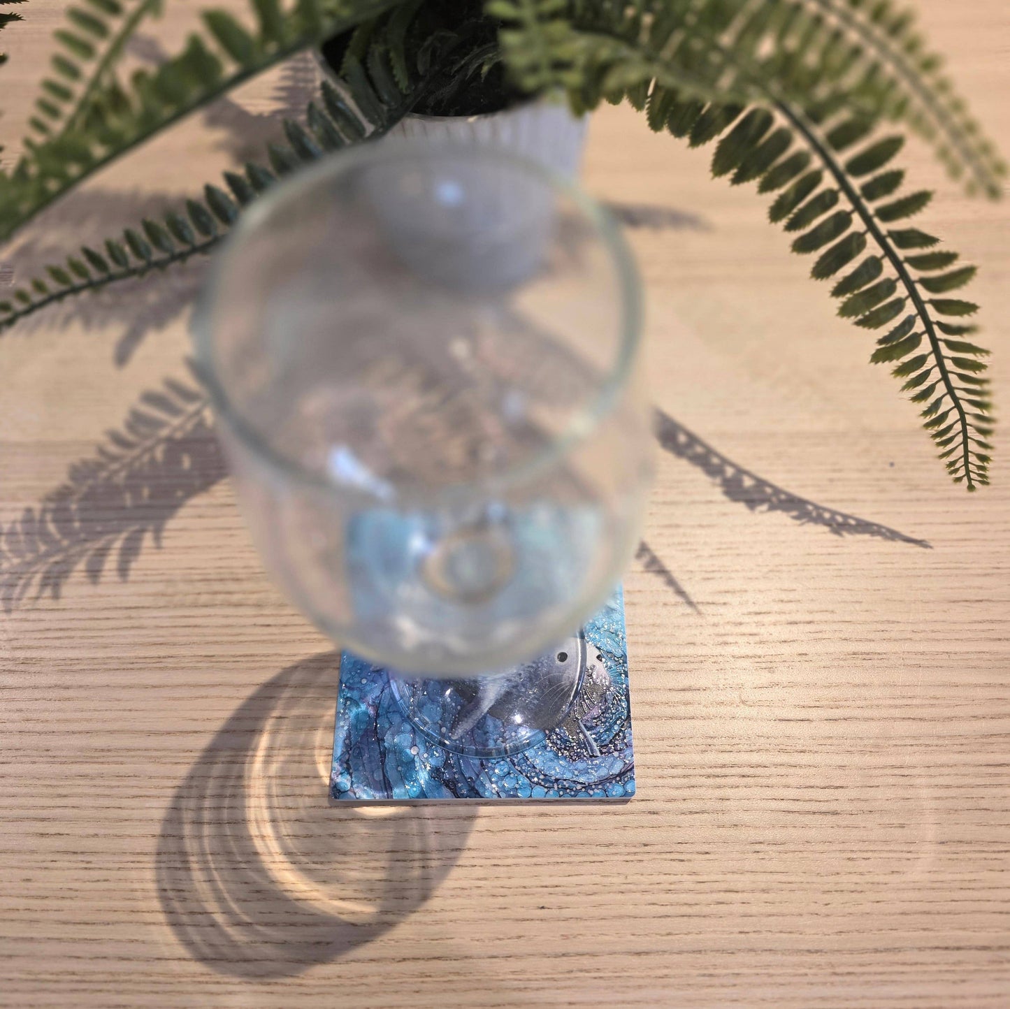 293-C Seal Coaster