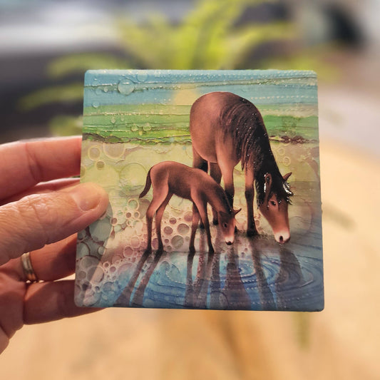 05-C - Horse Coaster